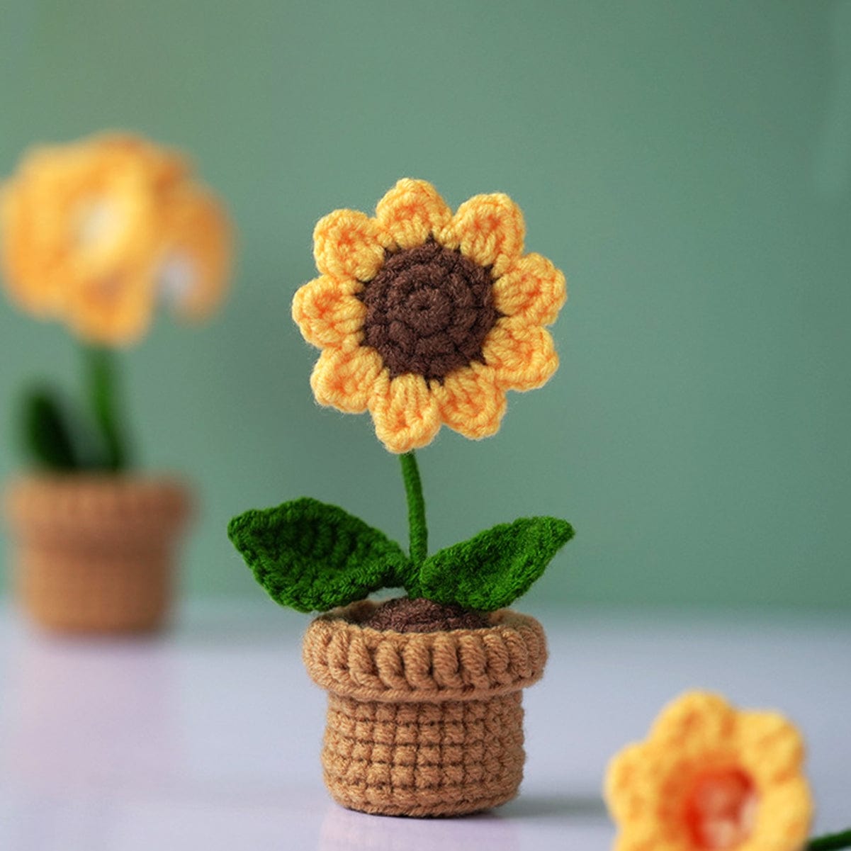 Crochet Kit: Everlasting Bouquet